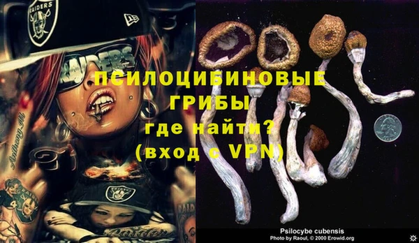 ПСИЛОЦИБИНОВЫЕ ГРИБЫ Балабаново