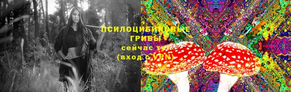 бутират Баксан