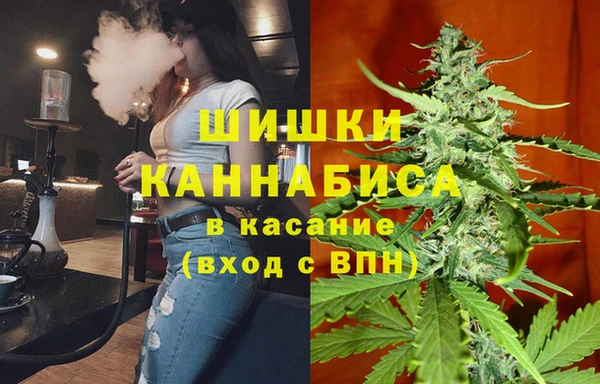 ПСИЛОЦИБИНОВЫЕ ГРИБЫ Балабаново