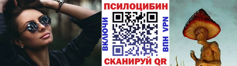 наркота  Нижний Ломов  Галлюциногенные грибы Cubensis 
